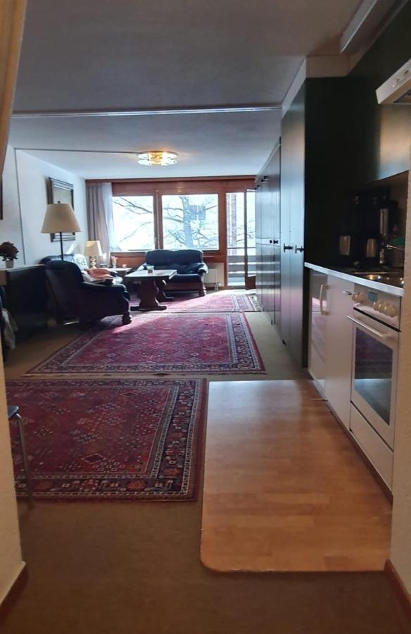 Hilburgs-Domizil Apartment Zermatt Ngoại thất bức ảnh